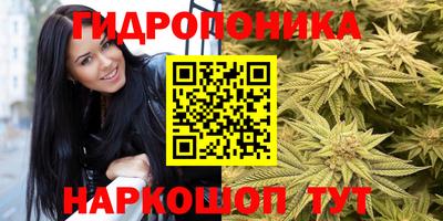 спиды Кунгур